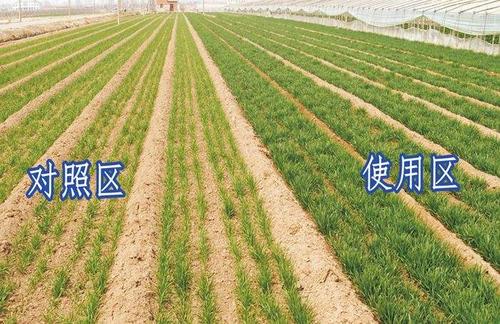 绿色有机肥料加工 服务至上「潍坊虹杰生物科技供应」